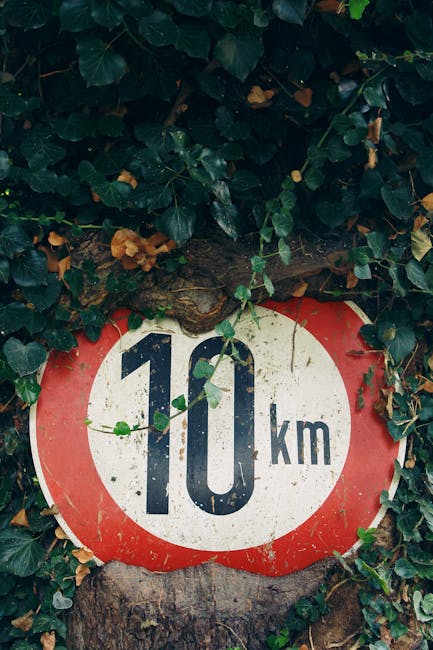 10km road sign overgrown with nature