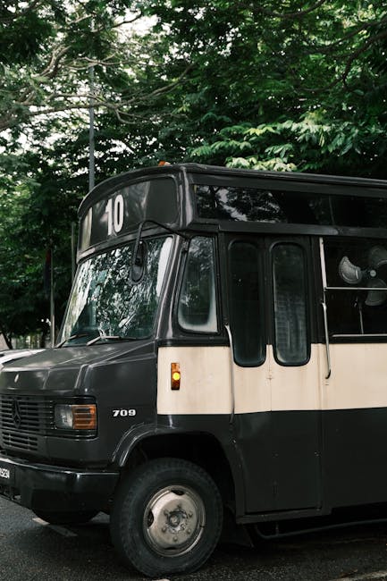 Modern transit bus labeled with route number ten