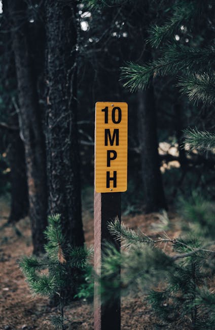 Forest trail sign indicating 10 MPH speed limit